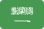 Saudi Arabia flag